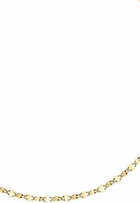 Guldkedja med sammanlänkade länkar, slät textur och polerad yta. Har en enkel låsning för säker användning.