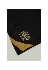 Nike Performance FUSSBALL TEXTILIEN 11FC OUTPLAY EM  - Short de sport - schwarzschwarzgoldgold
