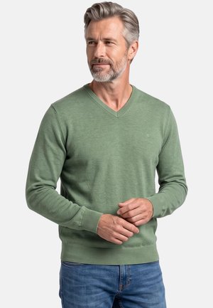 Mann mittleren Alters mit grauen Haaren und Bart, trägt einen grünen Pullover mit V-Ausschnitt und blaue Jeans, steht mit verschränkten Händen und schaut seitlich weg.