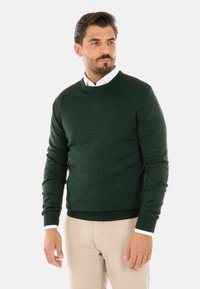 Maglione girocollo verde scuro realizzato in un morbido tessuto a maglia, con maniche lunghe e orlo a coste, abbinato a pantaloni beige chiaro.