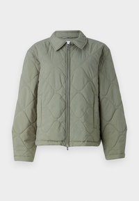 Seleccionado, faded green