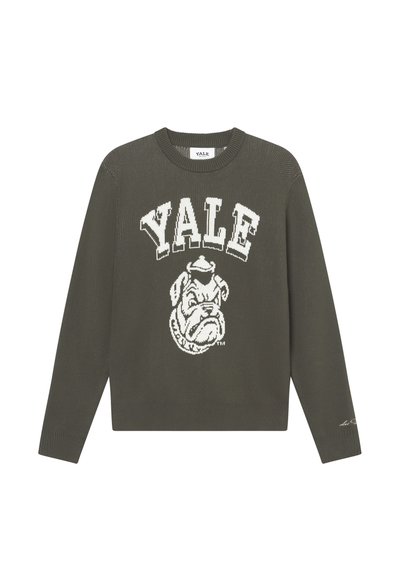 Pull en maille vert olive arborant un logo blanc de Yale et un graphique de bulldog. Encolure ronde avec des poignets et un ourlet à côtes.