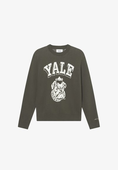Pull en maille vert olive arborant un logo blanc de Yale et un graphique de bulldog. Encolure ronde avec des poignets et un ourlet à côtes.