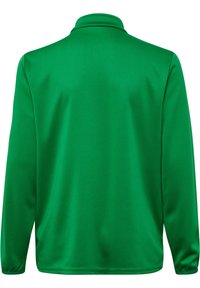 Grøn langærmet pullover lavet af glat stof, med ståkrave og elastiske manchetter. Enkel design uden mønstre eller hardware.