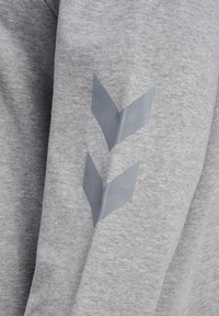 Grå sweatshirt med en glat tekstur, med et fremtrædende lysgråt chevronmønster på venstre ærme. Enkel og uden pryd.