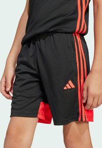 adidas Performance Sportske kratke hlače - black   lucid red