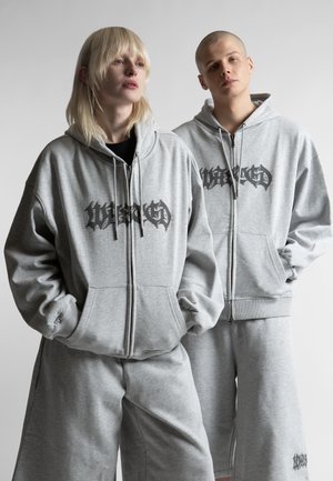BLARE ZIP HOODIE UNISEX - Majica s kapuljačom i patentnim zatvaračem - ash grey