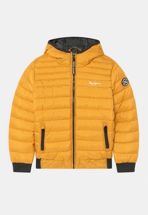 GREYSTOKE - Veste d'hiver - ochre yellow