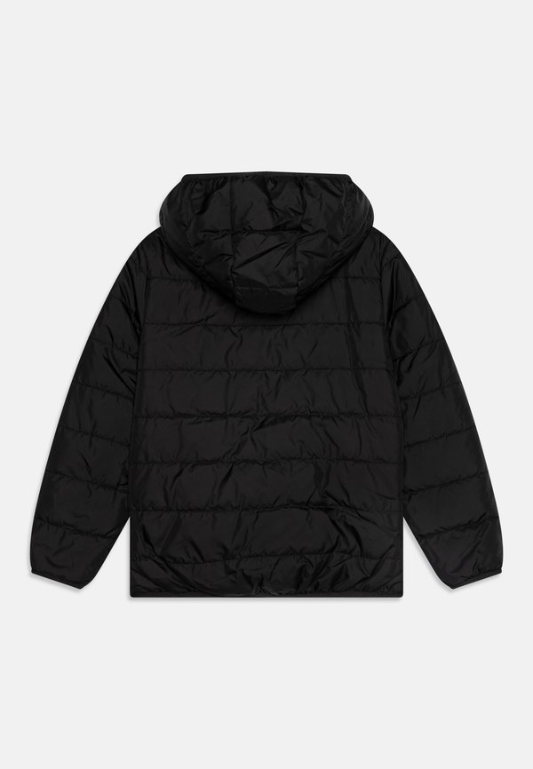 CORE JUNIOR HOODED PADDED PUFFER ZIP UNISEX - Winter jacket4