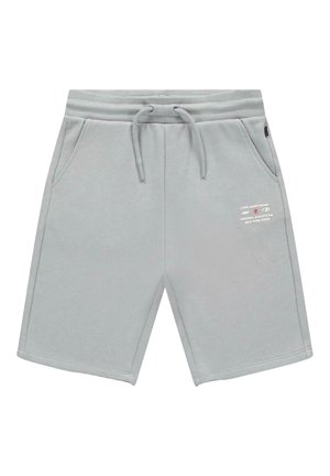 Lichtgrijze casual shorts met elastische tailleband, trekkoord, zijzakken en wit tekstlogo op de rechterdij.