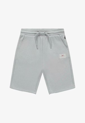 Lichtgrijze casual shorts met elastische tailleband, trekkoord, zijzakken en wit tekstlogo op de rechterdij.