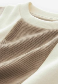Next VERTICAL TEXTURED COLOURBLOCK - REGULAR FIT - Trükipildiga T-särk - neutral