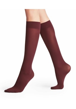 FALKE, FALKE KNIESTRÜMPFE PURE MATT - Kniekousen - barolo (8596)