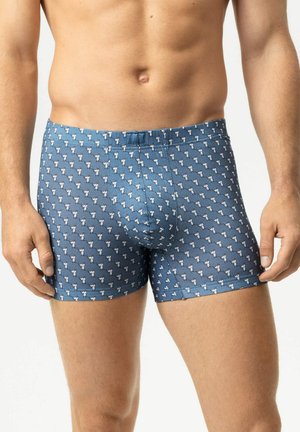 Männlicher Torso und obere Beine, die blaue Boxershorts mit einem kleinen weißen Hundemuster auf einem schlichten Hintergrund tragen.