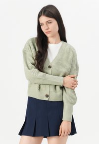 Cardigan tricoté vert clair avec un col en V, des manches longues et deux boutons marron, associé à une jupe plissée bleu marine.