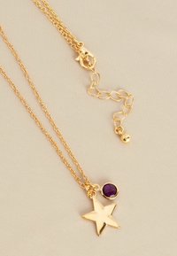 Next BIRTHSTONE - REGULAR FIT - Ketting - gold tone february