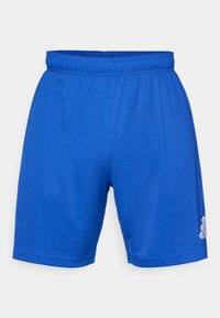 Επιλέχθηκε, team royal blue/white