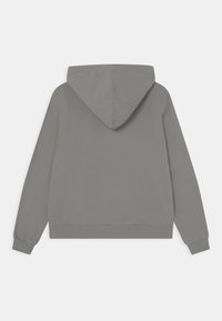 Felpa grigia con cappuccio regolabile, maniche lunghe, polsini e orlo a coste. Texture liscia con un design minimalista.