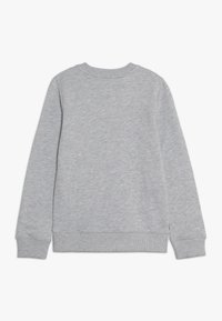 Szary sweatshirt, z okrągłym dekoltem, długimi rękawami, ribbowymi mankietami i dolnym wykończeniem, wykonany z miękkiej mieszanki bawełny, o gładkiej teksturze i minimalnych detalach.