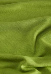 JJXX JXALFA CREW - Sportska majica - parrot green