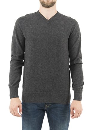 PLBEAL - Strickpullover - gris