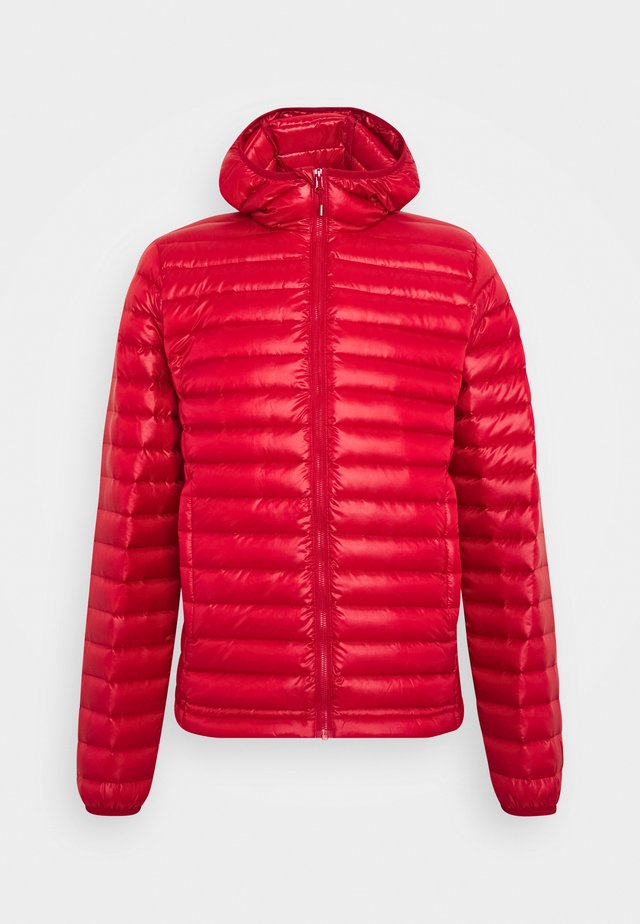 BRUCE HOODED - Piumino - carmen