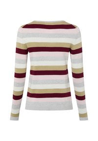 Gebreide trui met lange mouwen en horizontale strepen in bordeauxrood, beige, roze, grijs en wit, gezien van de achterkant tegen een witte achtergrond.