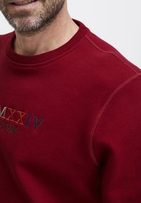 Sarkana kokvilnas džemperis ar apļveida kakla izgriezumu, ar krāsainiem izšuvumiem "MXXIV" un "1924". Gluda virsma un redzami šuvju detaļas.