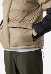 The North Face M LIMBARA INSULATED JACKET - Giacca invernale - mushroom grey