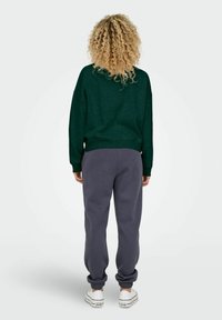 ONLY ONL LIFE O SIZE STATE NOOS - Sweater - grün