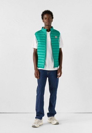 SANS MANCHES PERSAN TOM - Chaleco - vert
