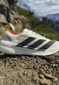Λευκό παπούτσι τρεξίματος δρόμου Adidas Terrex με μαύρες ρίγες, τοποθετημένο σε πετρώδες έδαφος με θολό ορεινό φόντο.