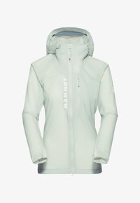 Niet geselecteerd, silver sage