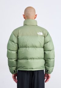 Kleeditud inimese peaga, kellel on siledaks aetud pea, kergelt rohelises polsterdetud jakis, mille seljal on The North Face'i logo, seismas ühetaolise tausta ees.