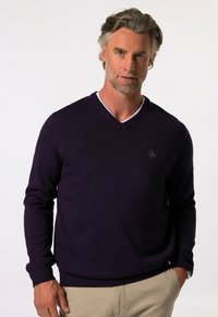 Maglione V-neck viola scuro con polsini e orlo a costine, caratterizzato da un sottile dettaglio logo sul petto, realizzato in un morbido materiale a maglia.
