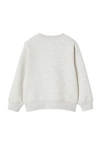 Hellgrauer Pullover mit lässigem Schnitt, geripptem Rundhalsausschnitt, Bündchen und Saum. Weiche Textur, keine sichtbaren Muster, die ein sauberes, einfaches Design zeigen.