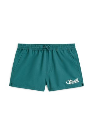 Pantaloncini da bagno color teal realizzati in materiale leggero. Presentano una vita elastica con coulisse e un logo bianco come dettaglio sul lato.