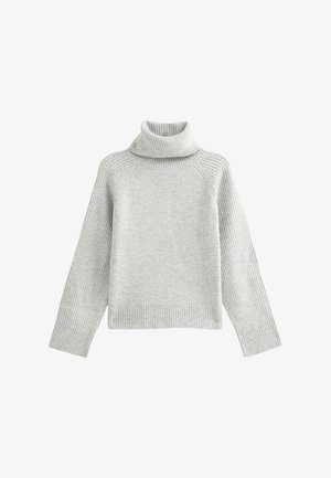 Pull en col roulé gris clair avec une texture côtelée et des manches raglan. Le design à enfiler présente un ourlet et des poignets épais et côtelés.