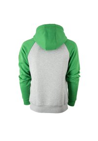 Felpa grigia con maniche e cappuccio raglan verdi. Materiale in cotone, presenta polsini e orlo a costine, senza motivi o grafiche visibili.