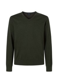 Pull vert en V en matière tricotée douce, avec des manches longues et des poignets et un ourlet côtelés. Design simple et uni, sans motifs.