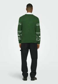 Maglione lavorato a maglia verde con motivi bianchi per le festività sulle maniche. Abbinato a pantaloni cargo neri. Il maglione presenta un collo a giro e orlo a coste.