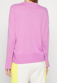 Maglione rosa con maniche lunghe e orlo a costine. Tessuto morbido con un design semplice, dotato di un collo rotondo e senza motivi o accenti visibili.