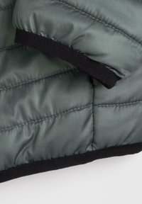Chicco OUTERWEAR - Giacca invernale - green