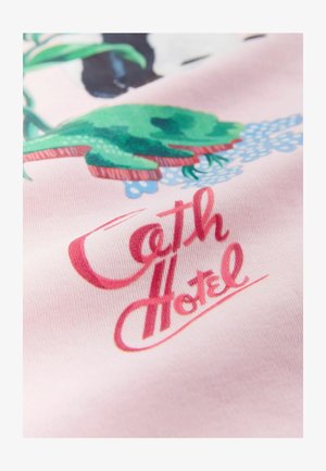 Ilustracja zielonej żaby i różowy stylizowany napis „Cath Hotel” na jasnoróżowej tkaninie.