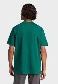 Zöld pamut póló laza szabással, kerek nyakkivágással és rövid ujjakkal. Simaság és minimalista dizájn, hátsó nézet.