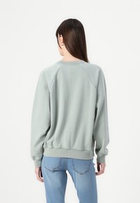 Felpa verde chiaro con maniche raglan, polsini e orlo a costine; texture morbida; vista posteriore che mostra una vestibilità rilassata e un design minimale.