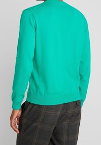 Zielony bawełniany sweter z okrągłym dekoltem, ściągaczami przy mankietach i na dole; noszony z spodniami w kratę, prezentującymi gładką teksturę i dopasowany krój.