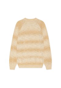 Pull tricoté marbré beige et crème à manches longues, avec manches raglan et poignets et ourlet côtelés, posé à plat montrant le dos.