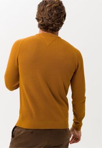 Mann mit lockigem braunem Haar, der einen senfgelben Langarmpullover und braune Hosen trägt, mit dem Rücken zu einem schlichten hellen Hintergrund gewandt.