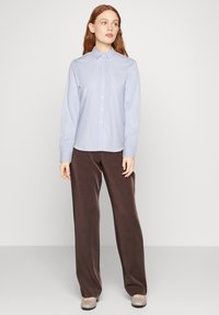 Light blue striped button-up shirt with a collar, paired with dark brown wide-leg pants. The shirt features long sleeves and a smooth texture.